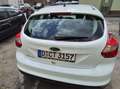 Ford Focus Ambiente Weiß - thumbnail 4