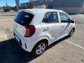 Kia Picanto 1.0 DPi Concept Blanco - thumbnail 5