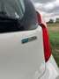 Kia Picanto Picanto 1.0 CVVT Summer Edition Blanc - thumbnail 6