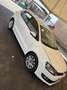 Volkswagen Polo 5p 1.2 tdi Trendline - thumbnail 3