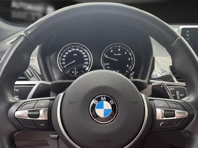 BMW X1 view 19