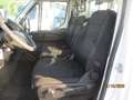 Iveco Daily 35C13 2.3 130CV E5 CASSONE FISSO CORTO 3.20 METRI Blanc - thumbnail 12