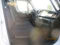 Iveco Daily 35C13 2.3 130CV E5 CASSONE FISSO CORTO 3.20 METRI Blanc - thumbnail 13