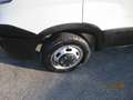 Iveco Daily 35C13 2.3 130CV E5 CASSONE FISSO CORTO 3.20 METRI Blanc - thumbnail 5