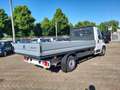 Fiat Ducato 35 2.2 Mjt 180CV XLH1  Cabinato Cassone Fi Bianco - thumbnail 4