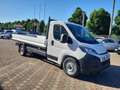 Fiat Ducato 35 2.2 Mjt 180CV XLH1  Cabinato Cassone Fi Bianco - thumbnail 2