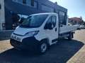 Fiat Ducato 35 2.2 Mjt 180CV XLH1  Cabinato Cassone Fi Bianco - thumbnail 1