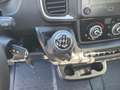 Fiat Ducato 35 2.2 Mjt 180CV XLH1  Cabinato Cassone Fi Bianco - thumbnail 15