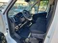 Fiat Ducato 35 2.2 Mjt 180CV XLH1  Cabinato Cassone Fi Bianco - thumbnail 6
