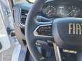 Fiat Ducato 35 2.2 Mjt 180CV XLH1  Cabinato Cassone Fi Bianco - thumbnail 10