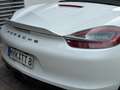 Porsche Boxster S PDK 981 Spyder GTS SAGA PTV Chrono KW V3 Lift Weiß - thumbnail 15