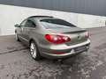 Volkswagen Passat CC Passat CC 2.0 16S TDI CR 170 FAP Carat Edition DSG6 4Motion Braun - thumbnail 3