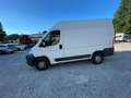 Fiat Ducato 2.3 jtd +49 157 56398832 - thumbnail 14