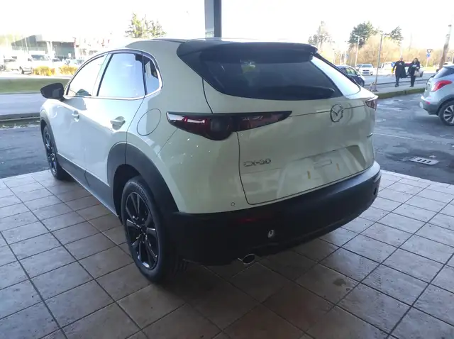 Mazda CX-30 view 6