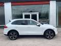 Porsche Cayenne Diesel 245 Aut. Blanc - thumbnail 1