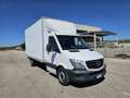 Mercedes-Benz Sprinter T43/35 311 CDI Cabinato Executive cassa 8 bancali Bianco - thumbnail 3