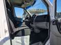 Mercedes-Benz Sprinter T43/35 311 CDI Cabinato Executive cassa 8 bancali Bianco - thumbnail 15