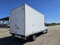 Mercedes-Benz Sprinter T43/35 311 CDI Cabinato Executive cassa 8 bancali Bianco - thumbnail 5