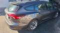 Ford Focus Focus Turnier 1,0 EcoBoost Hybrid Cool Schwarz - thumbnail 6