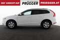 Volvo XC60 D4 Kinetic AWD Autom NAVI KAMERA AHV XENON Weiß - thumbnail 8