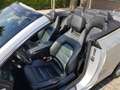Mercedes-Benz E 250 Cabrio CGI Elegance LEDER NAVI AUTOMAAT IN SUPERMO Gris - thumbnail 15