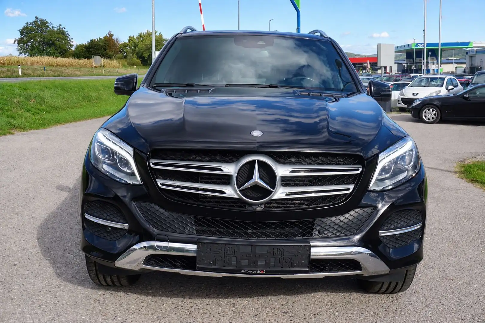 Mercedes-Benz GLE 250 GLE-Klasse 250 d 4Matic Schwarz - 1
