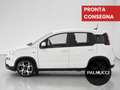 Fiat Panda Panda 1.0 FireFly S&S Hybrid Sport - thumbnail 3