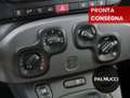 Fiat Panda Panda 1.0 FireFly S&S Hybrid Sport - thumbnail 11