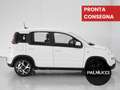 Fiat Panda Panda 1.0 FireFly S&S Hybrid Sport - thumbnail 5