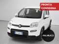 Fiat Panda Panda 1.0 FireFly S&S Hybrid Sport - thumbnail 1