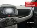 Fiat Panda Panda 1.0 FireFly S&S Hybrid Sport - thumbnail 10