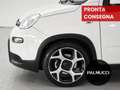 Fiat Panda Panda 1.0 FireFly S&S Hybrid Sport - thumbnail 6