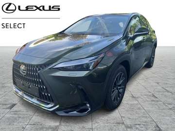 Executive Line