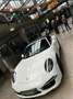 Porsche 991 Service und Approved neu Blanc - thumbnail 17