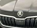 Skoda Kamiq Ambition 1.0 TSI 110pk Trekhaak, Cruise control, P Noir - thumbnail 25