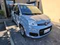 Fiat Panda 1.0 FireFly S&S Hybrid NEOPATENTATI - PREZZO REALE Grigio - thumbnail 4