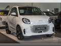 smart forTwo EQ 60kWed passion SHZ PDC Dig Radio Tempom Weiß - thumbnail 10