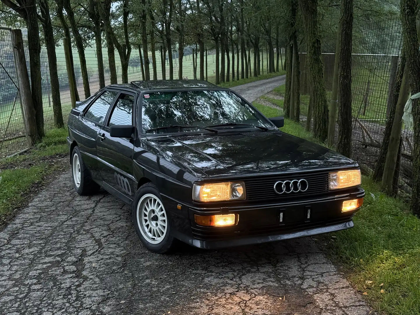 Audi QUATTRO 2,1 5-Zylinder Turbo - 1