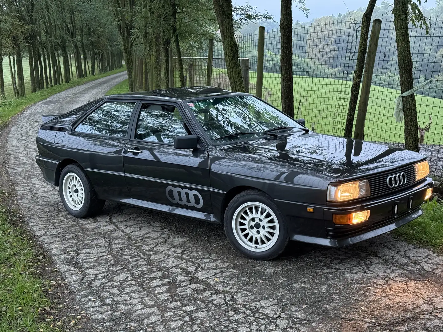 Audi QUATTRO 2,1 5-Zylinder Turbo - 2