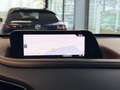 Mazda CX-30 Selection 150 PS *Leder*Design*Premium-Paket* Gris - thumbnail 12