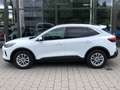 Ford Kuga 673 Kuga 1.5 EcoBoost Start Stop Titanium Weiß - thumbnail 10