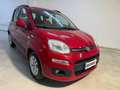 Fiat Panda 1.2 Lounge Rosso - thumbnail 2