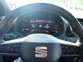 SEAT Arona 1,0 Eco TSI Xperience Rot - thumbnail 10
