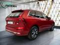 Volvo XC60 -40% T6 PHEV 350cv BVA8 4X4 +T.PANO+GPS+Options Roşu - thumbnail 3