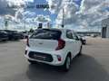 Kia Picanto Vision LenkradHZG SitzHZG Klima CarPlay Weiß - thumbnail 5