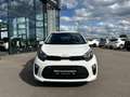 Kia Picanto Vision LenkradHZG SitzHZG Klima CarPlay Weiß - thumbnail 8