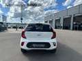 Kia Picanto Vision LenkradHZG SitzHZG Klima CarPlay Weiß - thumbnail 4