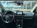 Kia Picanto Vision LenkradHZG SitzHZG Klima CarPlay Weiß - thumbnail 16