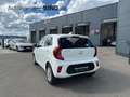 Kia Picanto Vision LenkradHZG SitzHZG Klima CarPlay Weiß - thumbnail 3