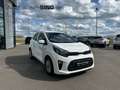 Kia Picanto Vision LenkradHZG SitzHZG Klima CarPlay Weiß - thumbnail 7